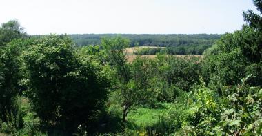 Vue de jardin.