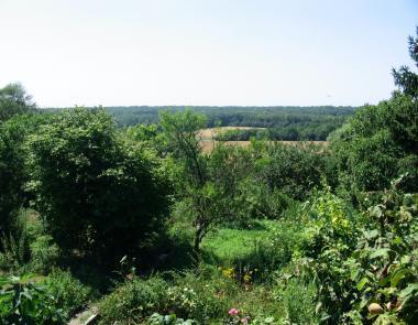 Vue de jardin.