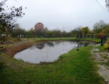 Vue d'une marre