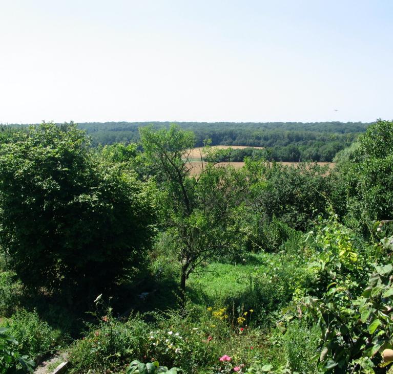 Vue de jardin.