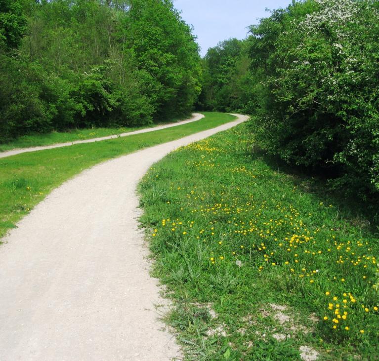 Vue d'un chemin